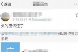 济宁为什么选择专业追讨公司来处理您的债务纠纷？